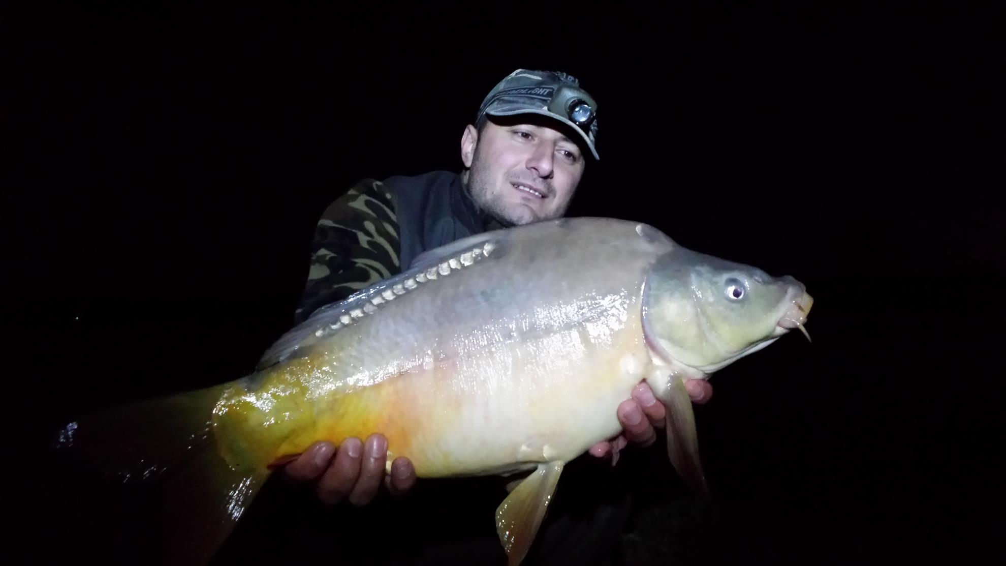 Hermes Peris 3 - 4 aprilie 2015 - 20150403204057lls.jpg